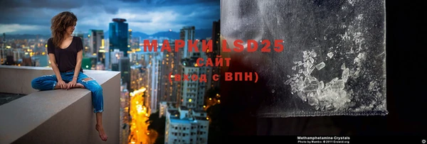 спиды Волосово