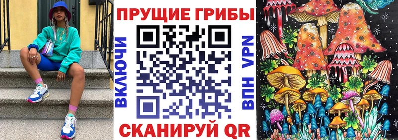 даркнет формула  Иваново  Псилоцибиновые грибы прущие грибы  сколько стоит 